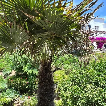 Διαμέρισμα Newly Renovated 2 Bedroom Beachfront House *