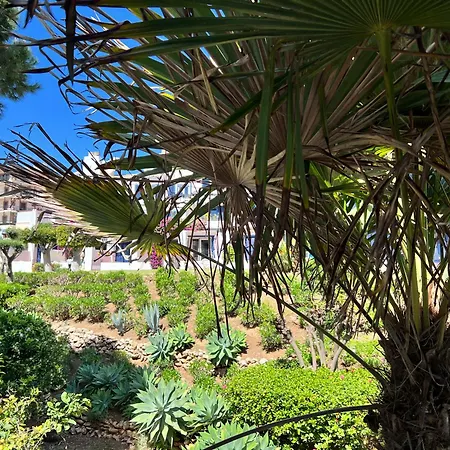 Newly Renovated 2 Bedroom Beachfront House Διαμέρισμα *